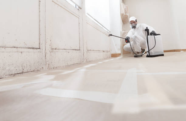24/7 Emergency Basement Mold Remediation experts in Carversville, PA
